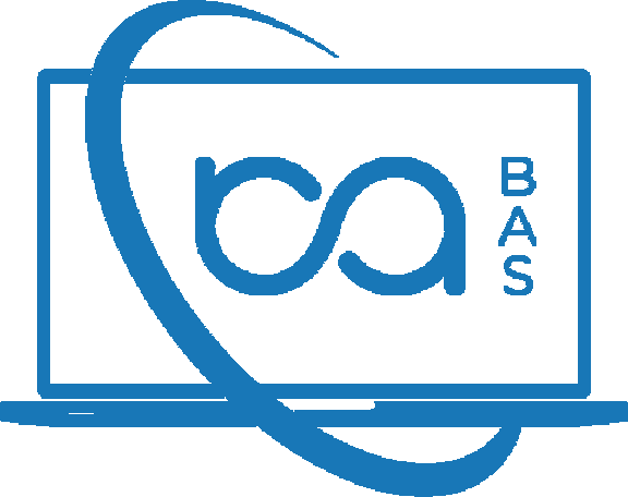 Доопрацювання BAS, доробки BAS, Програміст BAS